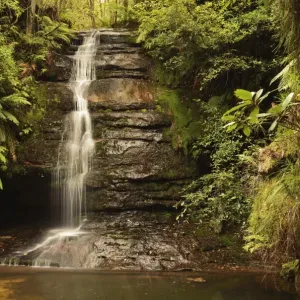 Pool of Siloam, Leura, Blue Mountains Pool of Siloam, Leura, Blue Mountains