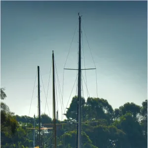Images Dated 2011 April: 8 Apr 2011