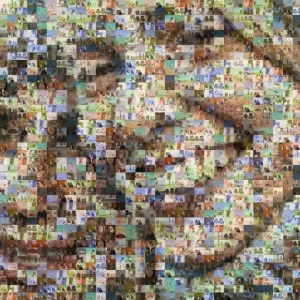 Images Dated 2014 July: 25 Jul 2014