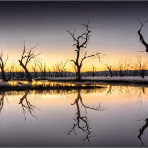 Pre-dawn light on the Winton wetlands, Central Victoria, Australia