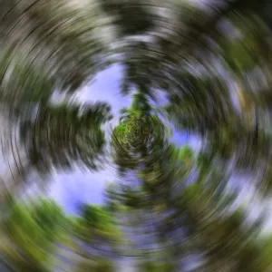 radial tree blur