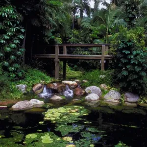 Rain forest walk, South Bank, Brisbane, Australia
