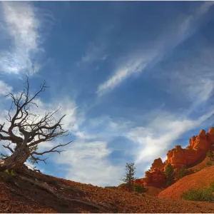 Images Dated 2011 October: 25 Oct 2011