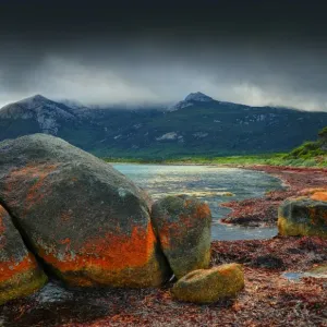 Images Dated 2012 February: 19 Feb 2012