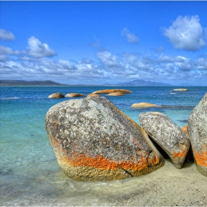 Red coloured boulders at Sawyers bay, caused by lichen growing at the high tide mark on Flinders Island, Bass Strait, Tasmania, Australia