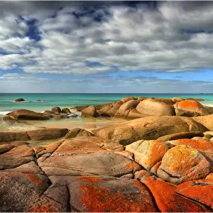 Red coloured rocks and boulders caused by living lichen, create a dramatic splash of colour at Disappointment bay King Island Tasmania