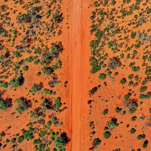 Red dirt road and trees, Australia, aerial view Red dirt road and trees, Australia, aerial view