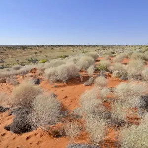 Red sand dunes