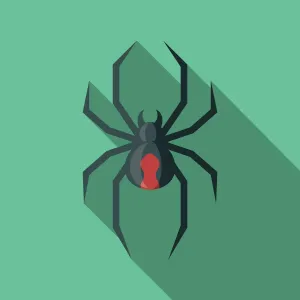 Red Back Spider Illustration