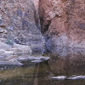 Redbank Gorge, West Macdonnell Range, Northern Territory, Australia