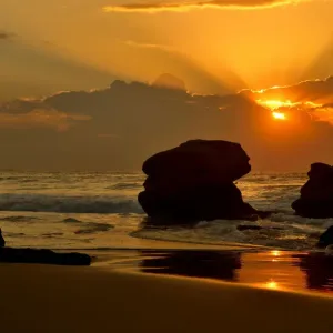 Redhead Sunrise Redhead Sunrise