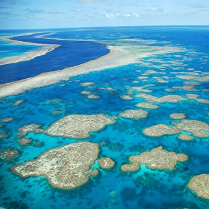 The Reef, Whitsunday Islands, Australia