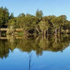 Reflections On Nature Reflections On Nature