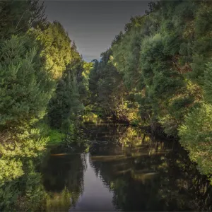 Print of Reflections on Sea Elephant river Print of Reflections on Sea Elephant river