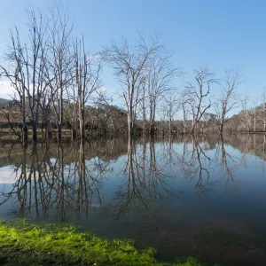 Reflexiones sobre la presa de Wyaralong en Queensland rural.