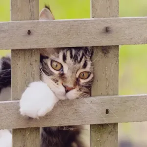 Please Release Me
