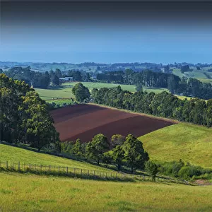Rich farmland near Mirboo north, Victoria, Australia