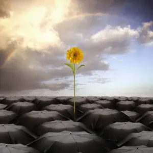rising above the odds rising above the odds