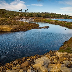 River at Maria Island, Tasmania