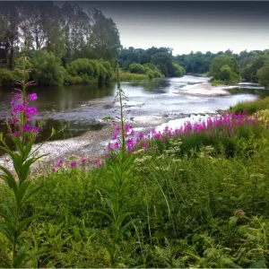 Images Dated 2013 July: 16 Jul 2013