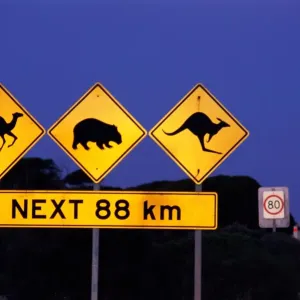 Print of Road Sign in Eucla, Western Australia