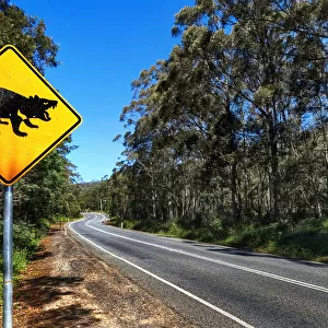 Road Sign of Tasmania Devil Crossing in Hobart, Eaglehawk Neck, Tasmania, Australia