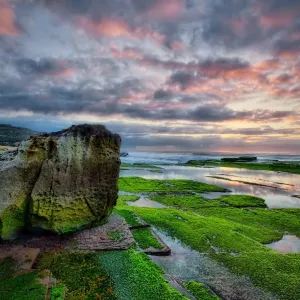 Rock at low tide