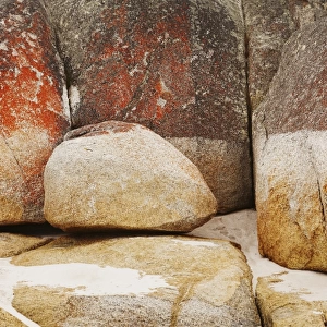 Rocks in Bay of Fires, Tasmania