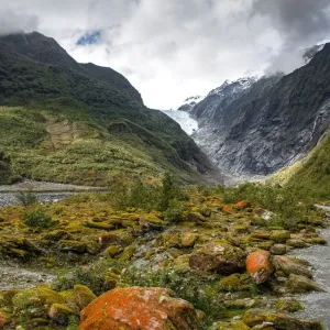 Rocks covered with moss and red lichens, in the back glacier tongue of Franz Josef Rocks covered with moss and red lichens, in the back glacier tongue of Franz Josef