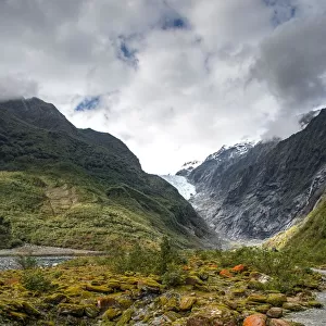 Rocks covered with moss and red lichens, in the back glacier tongue of Franz Josef
