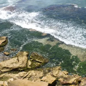 Rocky coastline, Bondi Rocky coastline, Bondi