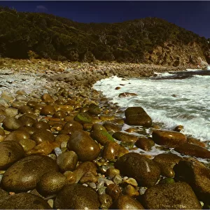 Rocky coastline, Freycinet Peninsular, east coastline of Tasmania, Australia