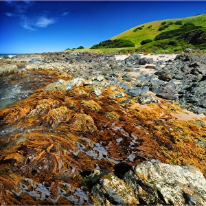 Rocky shoreline at Naracoopa, King Island Bass Strait, Tasmania, Australia