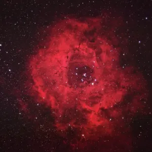 Rosette Nebula