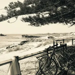 Rottnest Bikes Landscape Rottnest Bikes Landscape