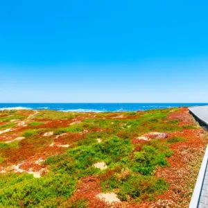 Rottnest Island Rottnest Island