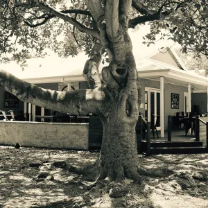 Rottnest Island Scene Vintage