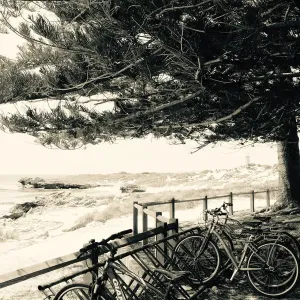 Rottnest Island Scene Vintage Portrait Rottnest Island Scene Vintage Portrait
