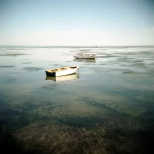 boats