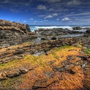 Rugged coastline, King Island Bass Strait, Tasmania, Australia