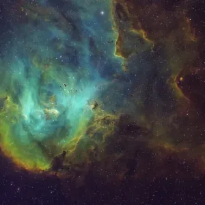 Running Chicken Nebula