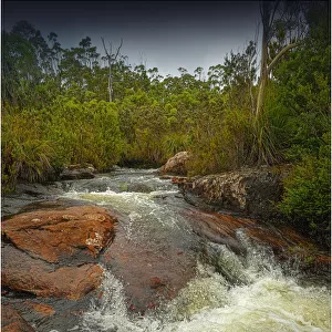 Running stream in the Hartz mountains national park, part of the world heritage wilderness, Tasmania