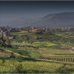 Rural scene and agricultural crop crowing near Newari, Western Himalayas, Nepal