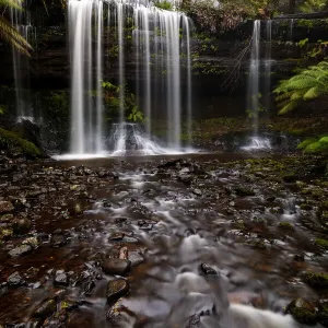 Russell Falls Russell Falls