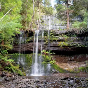 Russell Falls Russell Falls