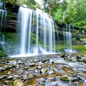 Russell falls mount field nationala park Tasmania