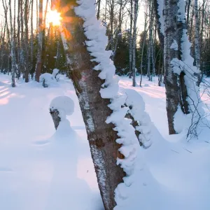 Images Dated 2011 February: 14 Feb 2011