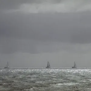 Sail boats