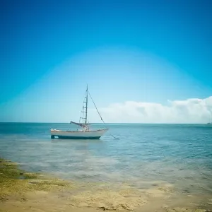 Sailboat on shore