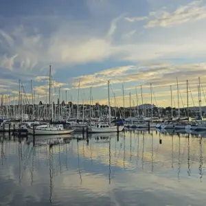 Sailboats moored at Sandy Bay, Hobart